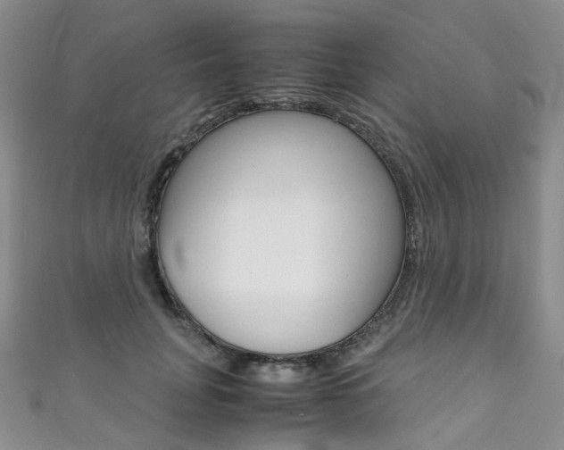 X0000111370751200907101017