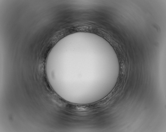 X0000111370753200907101017