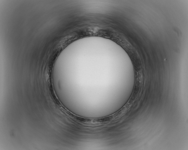 X0000111370754200907101017
