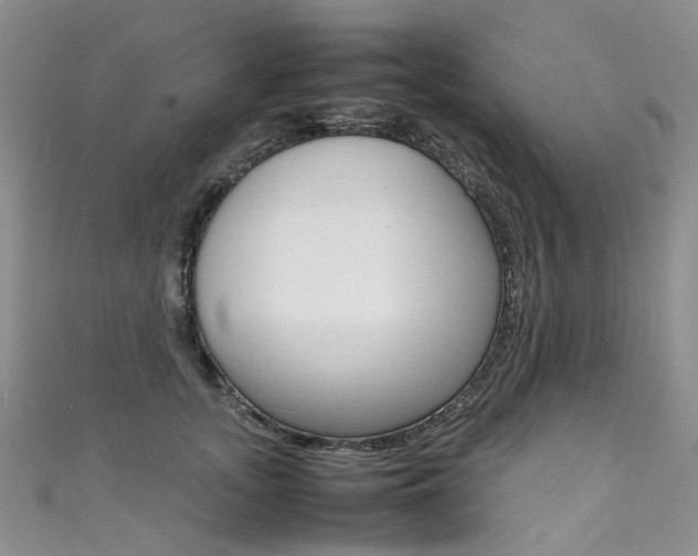 X0000111370755200907101017