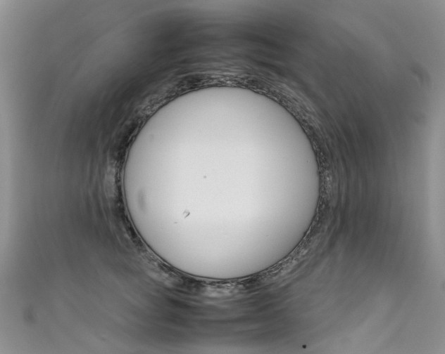 X0000111370757200907101017