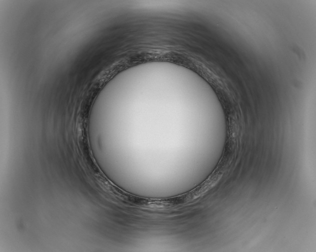 X0000111370758200907101017