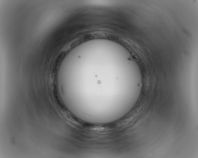 X0000111370759200907101017