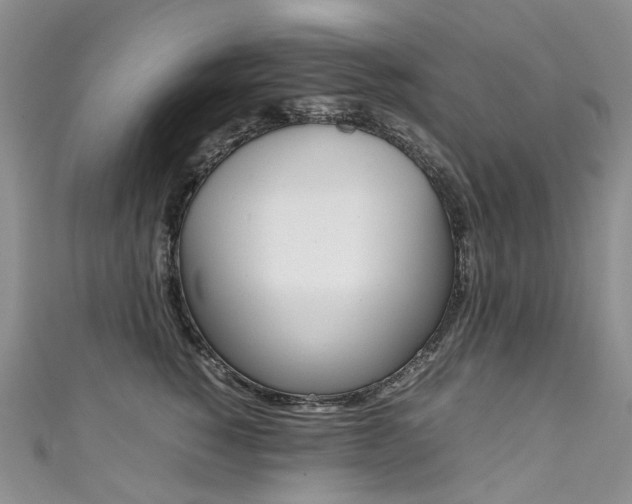 X0000111370760200907101017