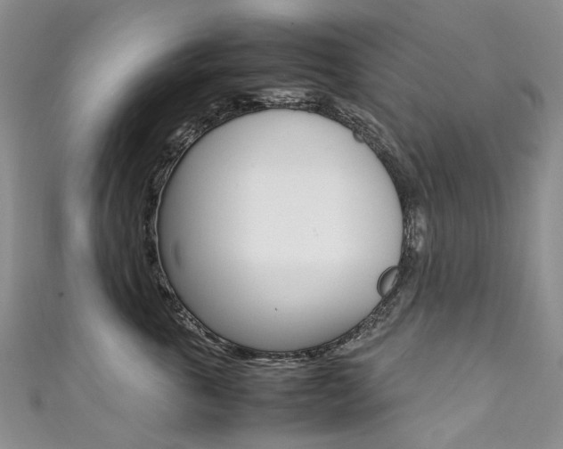 X0000111370763200907101017