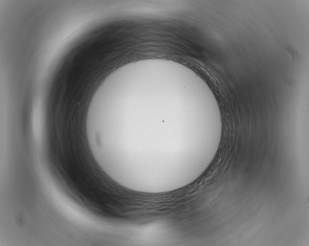 X0000111370764200907101017