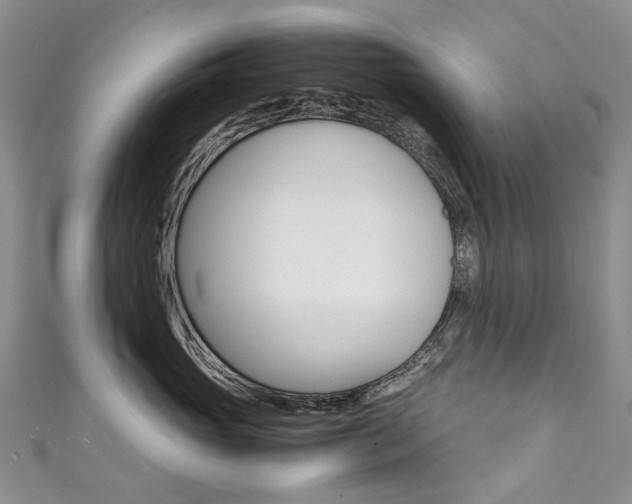 X0000111370765200907101017