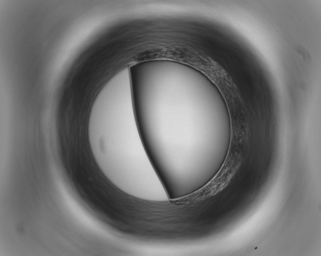 X0000111370766200907101017