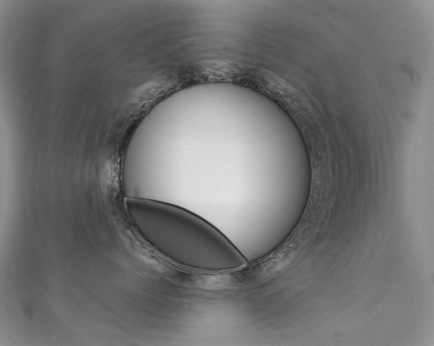 X0000111370768200907101017
