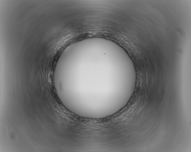 X0000111370770200907101016