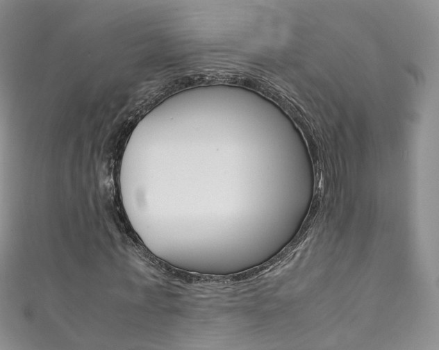 X0000111370771200907101016