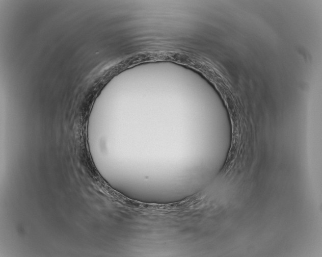 X0000111370773200907101016