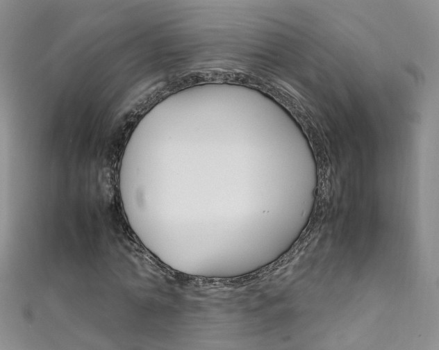 X0000111370774200907101016