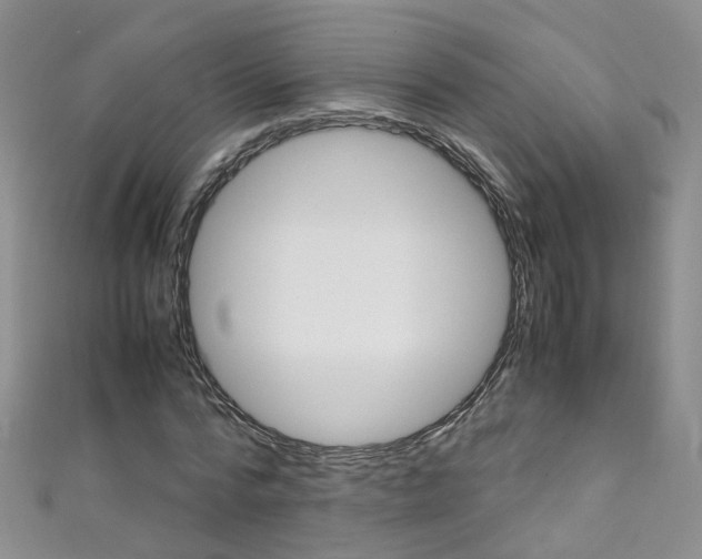 X0000111370776200907101016