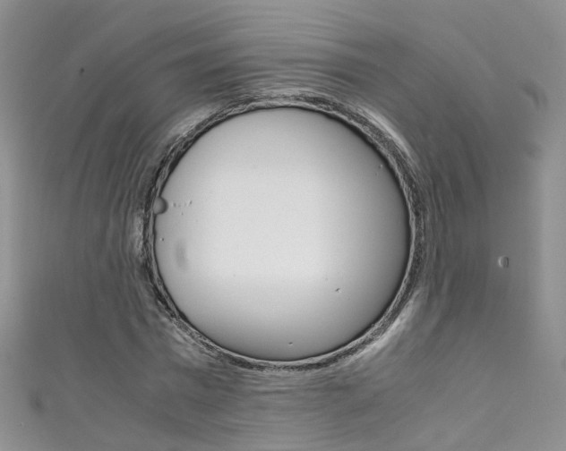X0000111370777200907101016