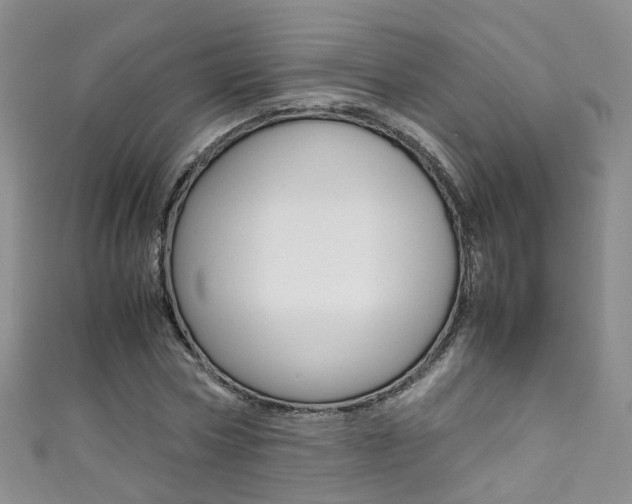 X0000111370778200907101016