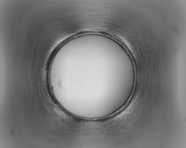 X0000111370779200907101016