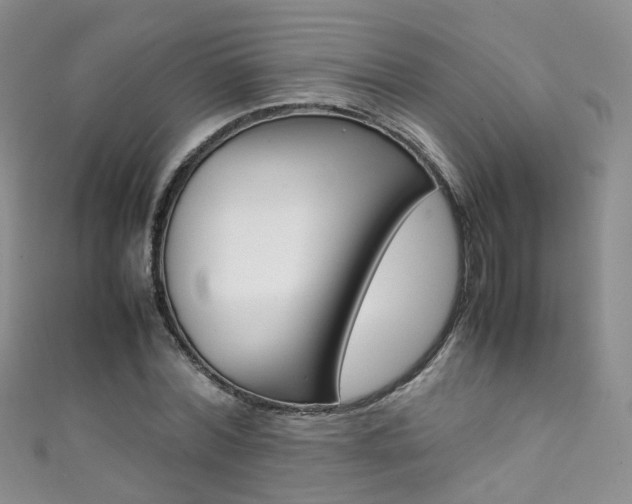 X0000111370780200907101016