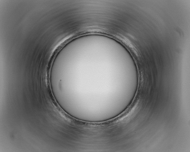 X0000111370782200907101016
