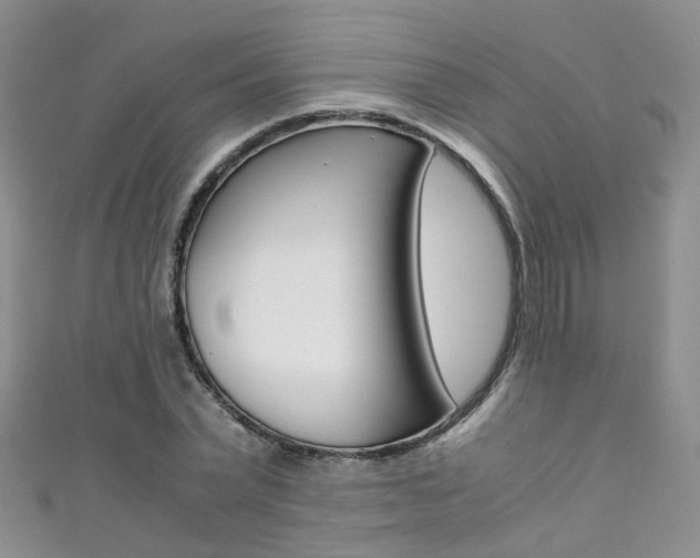X0000111370783200907101016