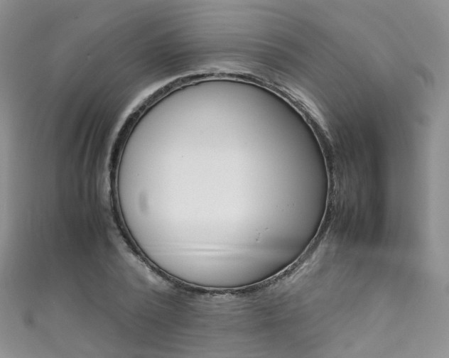 X0000111370784200907101016