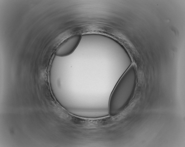 X0000111370785200907101016