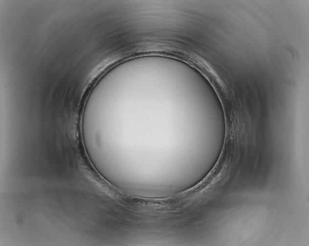 X0000111370786200907101016