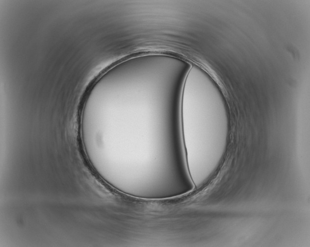 X0000111370787200907101016