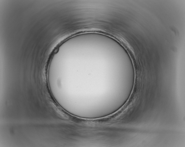 X0000111370789200907101016