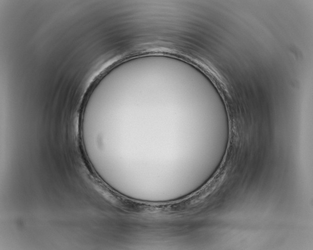 X0000111370790200907101016
