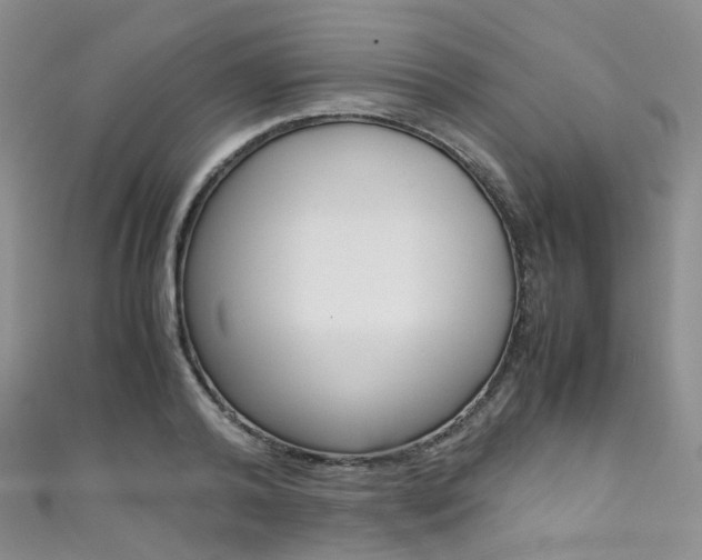 X0000111370792200907101016