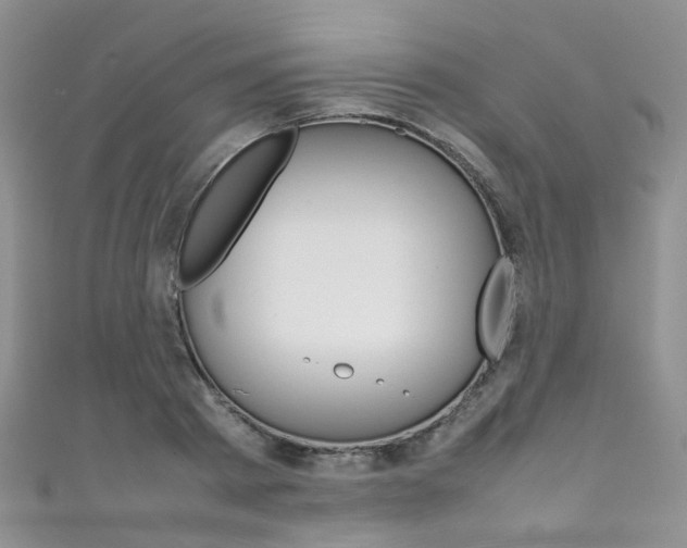 X0000111370793200907101016