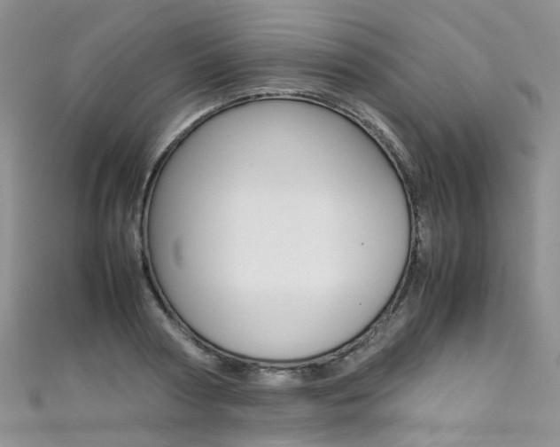 X0000111370794200907101016