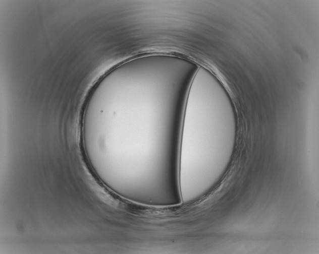 X0000111370795200907101016