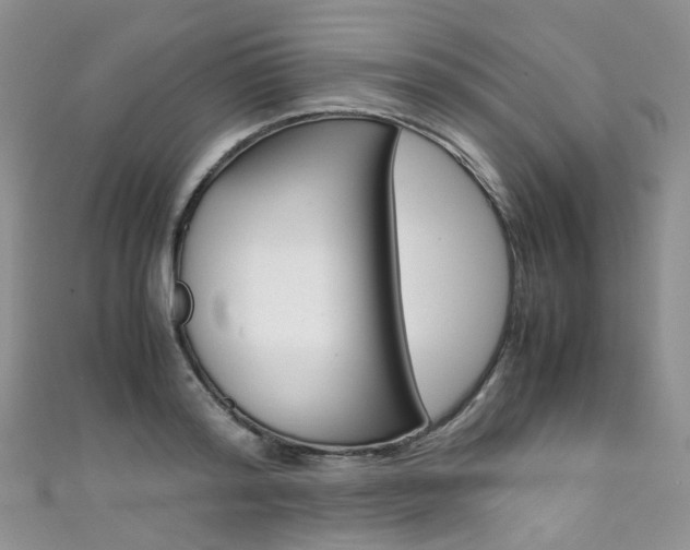 X0000111370796200907101016