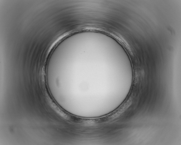 X0000111370798200907101016