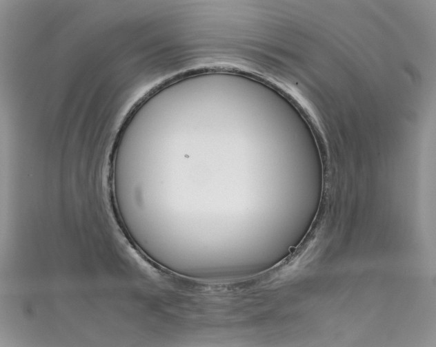 X0000111370799200907101016