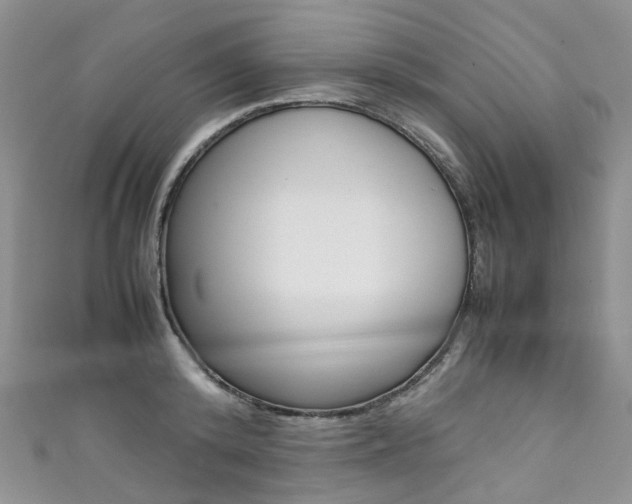 X0000111370800200907101016
