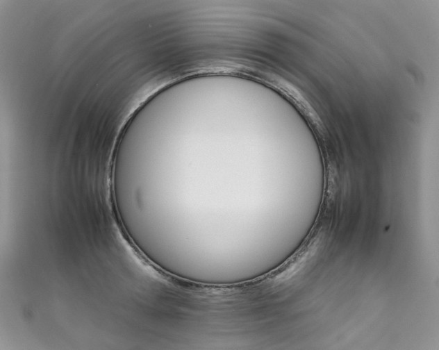 X0000111370802200907101016