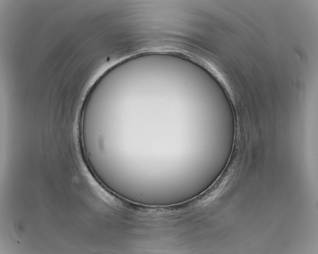 X0000111370803200907101016