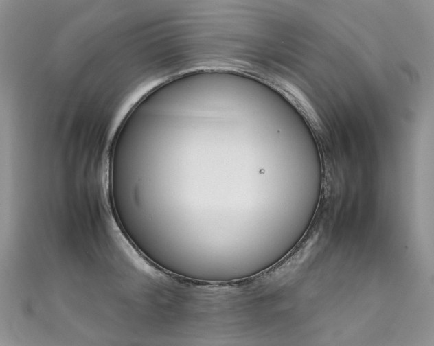 X0000111370804200907101016