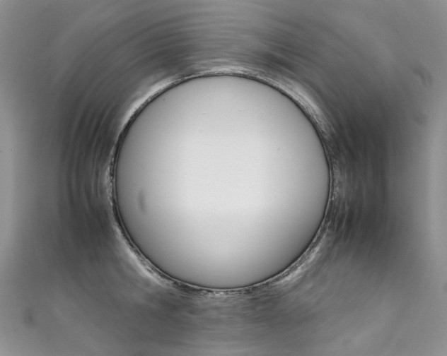 X0000111370806200907101016