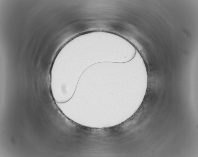 X0000111370807200907101016