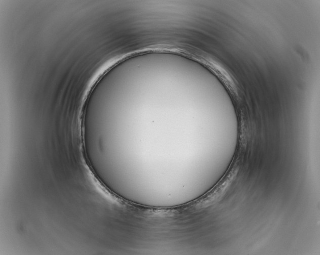 X0000111370808200907101016