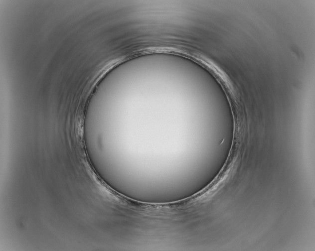 X0000111370809200907101016
