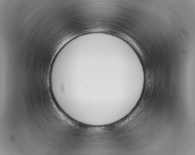 X0000111370810200907101016