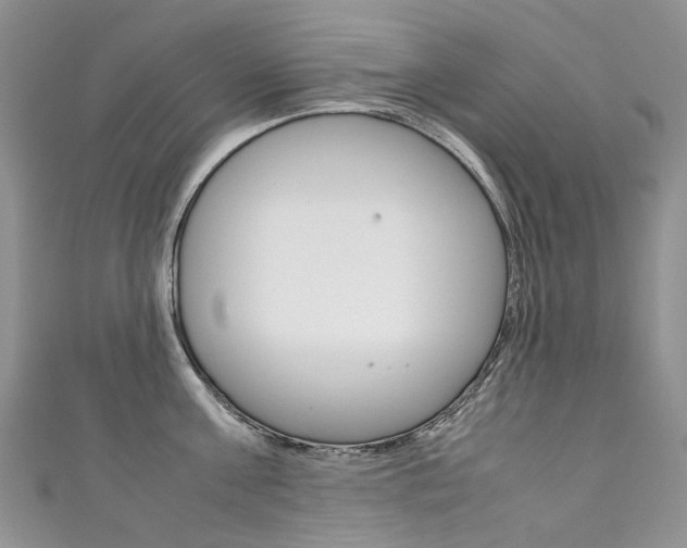 X0000111370811200907101016