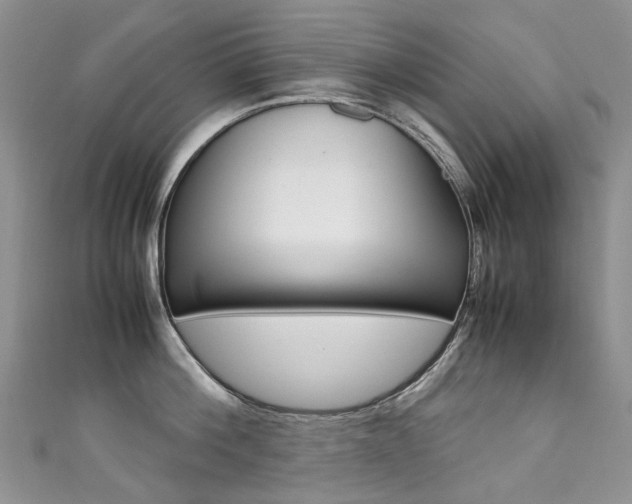 X0000111370812200907101016