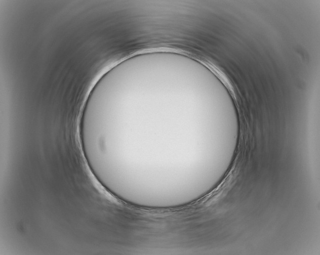 X0000111370813200907101015