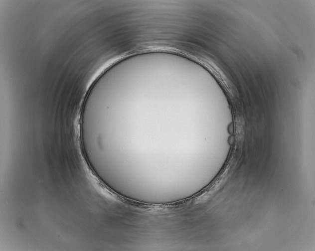 X0000111370814200907101015